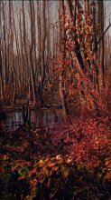 Where hides autumn / ***