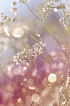 Good morning / ***