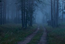 The evening silence / ........................