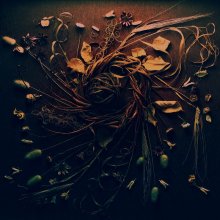 trellis / ***