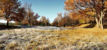 first frost / ***