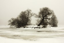 Island / *****