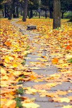 Straße zum Herbst / ------------