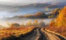 The road to autumn / ***