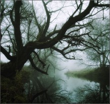 Autumn Haze / ***