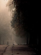 Autumn / .....