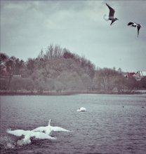 Pairs of pairs! / ***