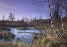 The remains of the pond / ***