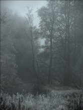 evening silence / ***