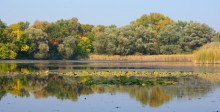 Hortitsky marshes / ***