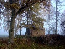 At the farm / ***