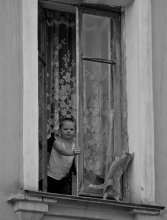 Window, the boy cat / *****