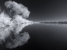  / infrared