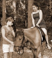 Pferd / ***