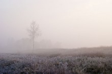 Foggy morning / ,,,,,,,,,,,,