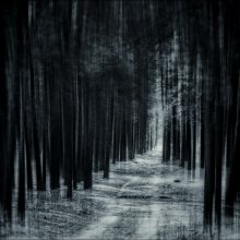 ___[]___ / *******************************