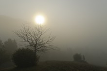 And the day will come ... / ***