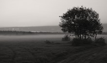 Dawn / _______________________*
