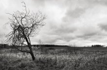 Hinterhof / ***
