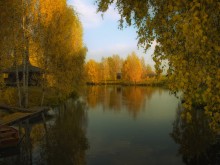 Toward the close of autumn / ***