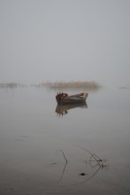 in the fog / *********