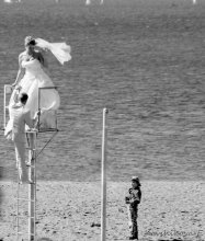 wedding / ***