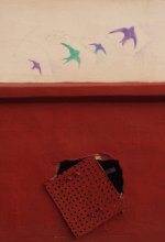 Why can not people fly like birds? / ***