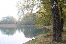 Herbst / ***