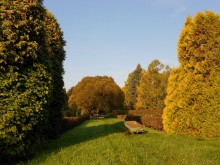 So begins the morning in the Botanical Garden / ***