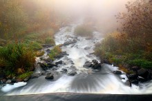 In the mist of the stream / ***