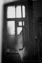 window / ***