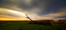 Ode to the sunrise! / autumn morning
