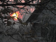 Cold sun / ***