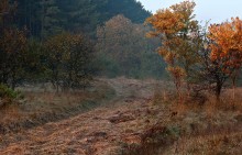 Der Herbstmorgen (3) / *****