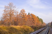 Im Zuge der im Herbst / ***