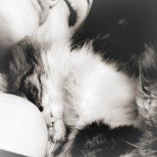 sweet dreams / ***