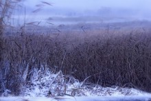 The first snow / ***