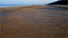 Water recedes / ***