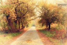 Autumn Straße / ******