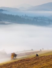 Sirit of mountains / ***