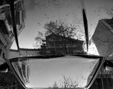 car bowl / ***