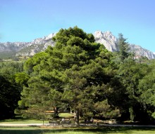 Summer in the Park / ***