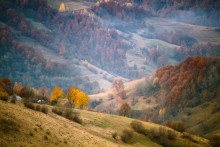 Autumn Palette / ***