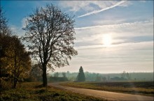 In the morning .. / ***