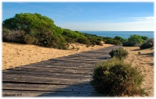 Road to the sea / *********