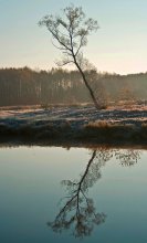 Novembermorgen / ***