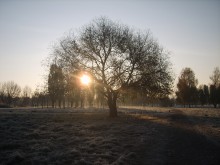 Autumn morning / ***