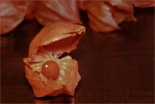 Red pearl / ************