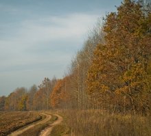 Straße zum Herbst / ***