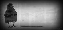 Ich und mein Schatten / ***